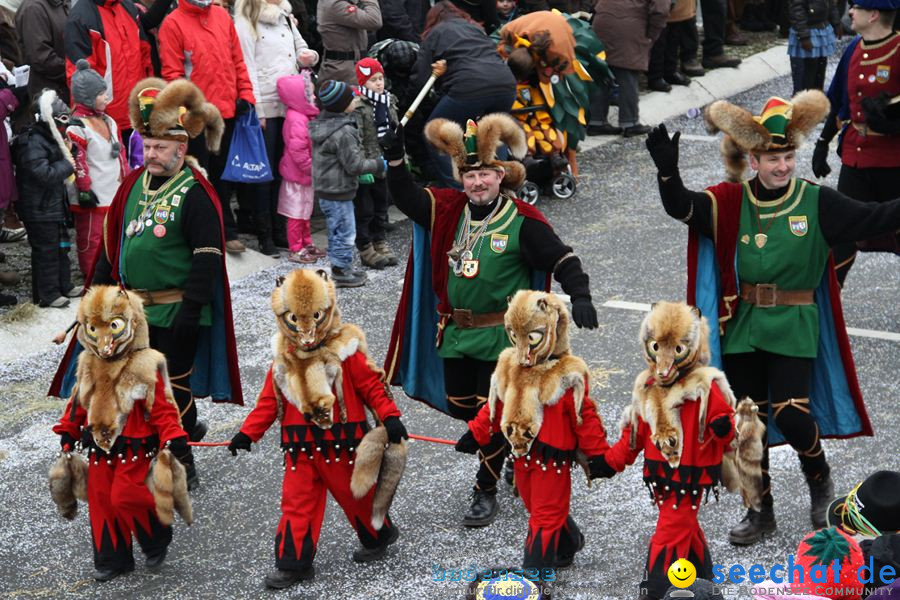 Narrentreffen: Rielasingen am Bodensee, 29.01.2012