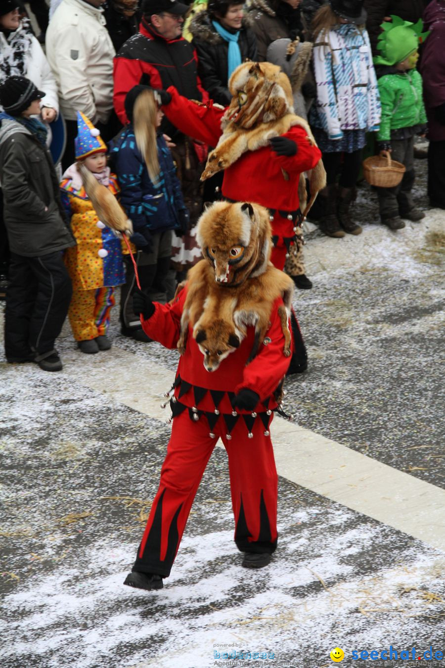 Narrentreffen: Rielasingen am Bodensee, 29.01.2012