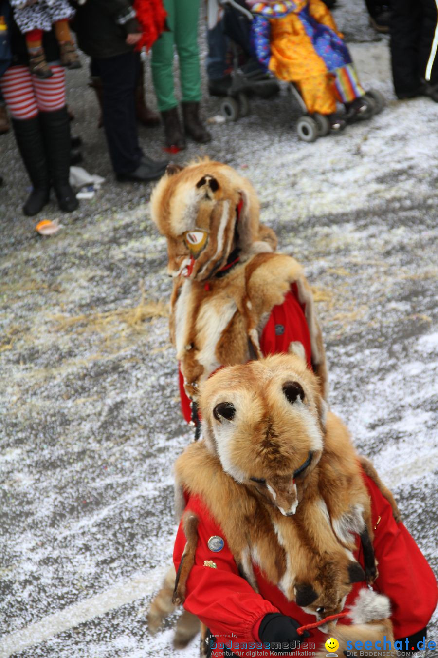 Narrentreffen: Rielasingen am Bodensee, 29.01.2012