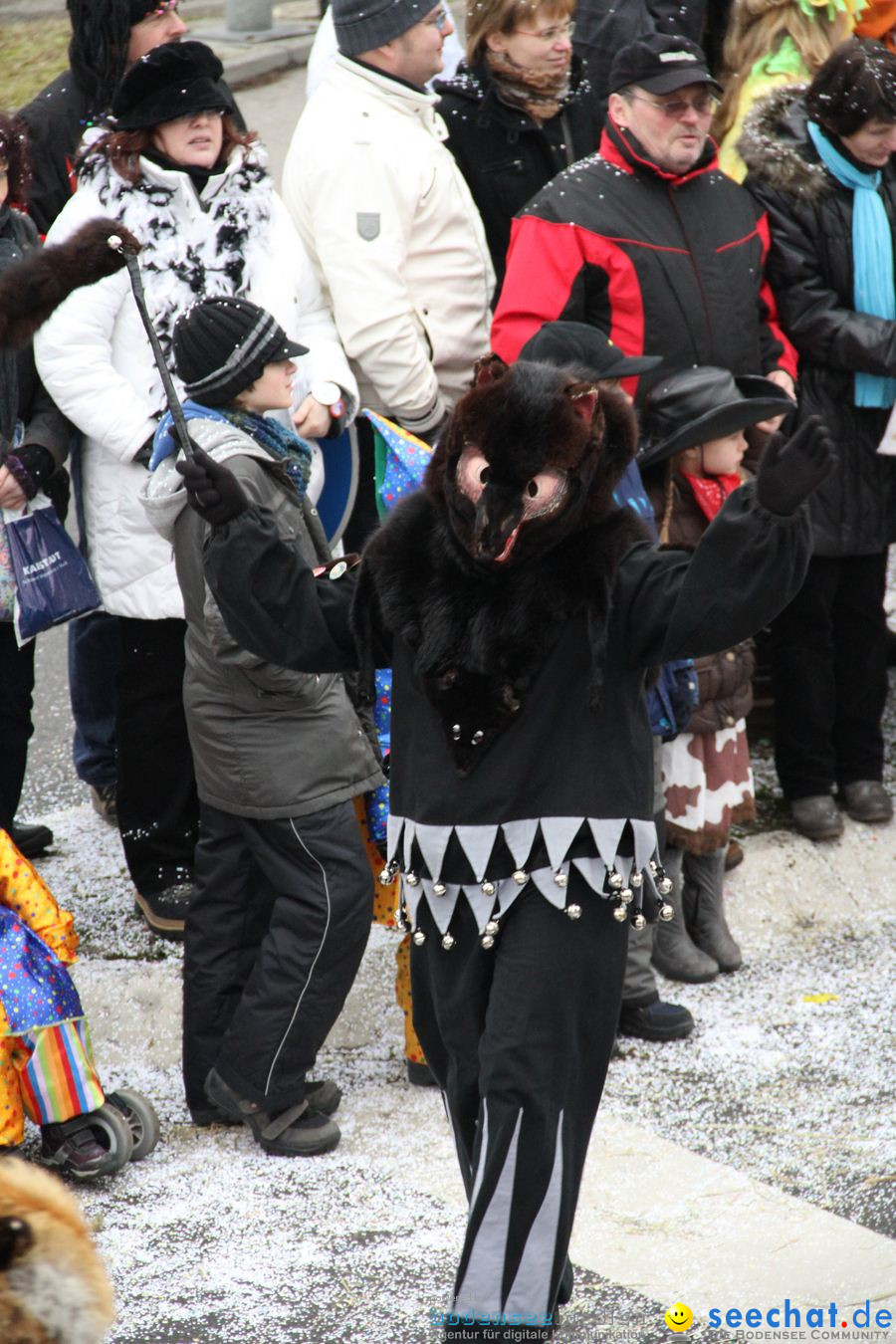 Narrentreffen: Rielasingen am Bodensee, 29.01.2012