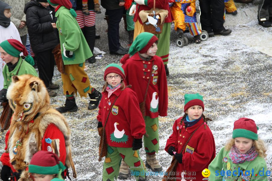 Narrentreffen: Rielasingen am Bodensee, 29.01.2012