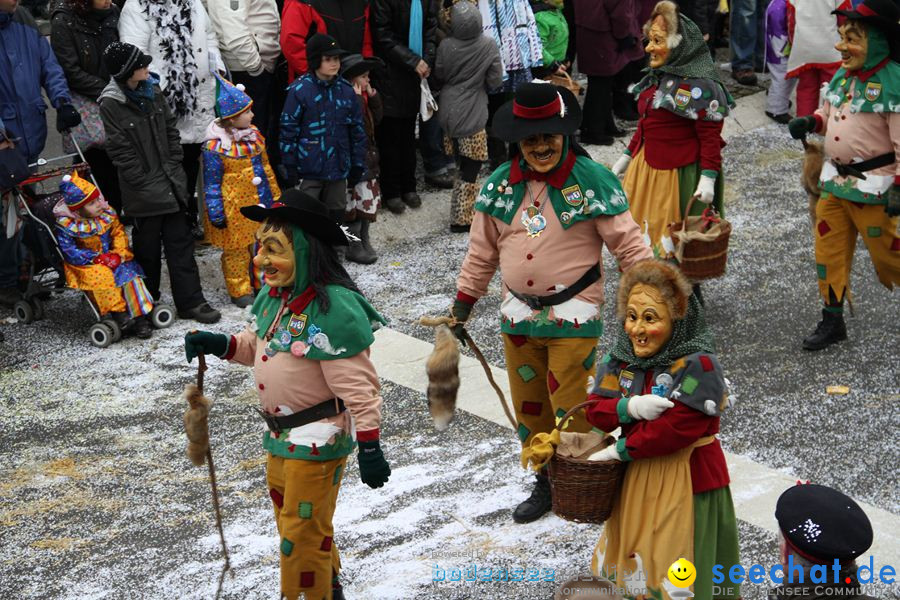 Narrentreffen: Rielasingen am Bodensee, 29.01.2012