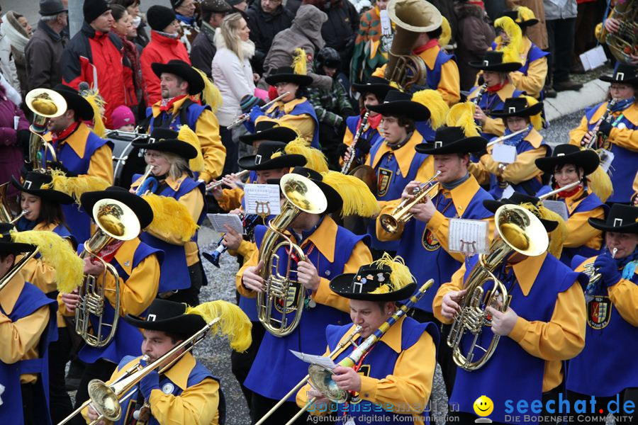 Narrentreffen: Rielasingen am Bodensee, 29.01.2012