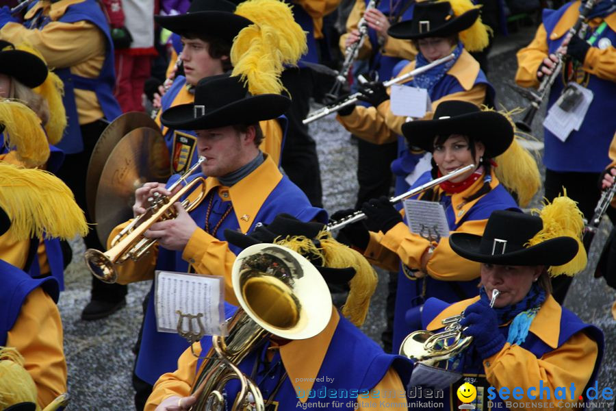 Narrentreffen: Rielasingen am Bodensee, 29.01.2012