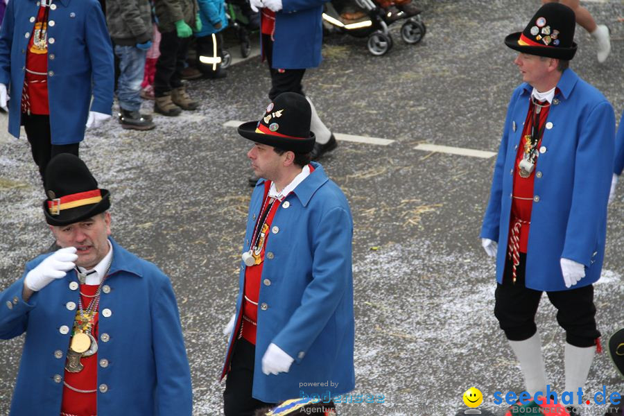 Narrentreffen: Rielasingen am Bodensee, 29.01.2012