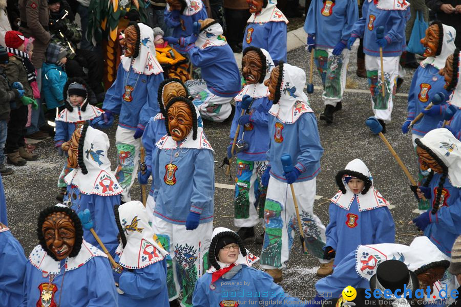 Narrentreffen: Rielasingen am Bodensee, 29.01.2012