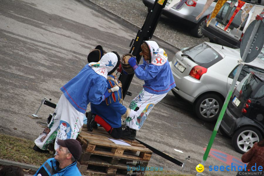 Narrentreffen: Rielasingen am Bodensee, 29.01.2012