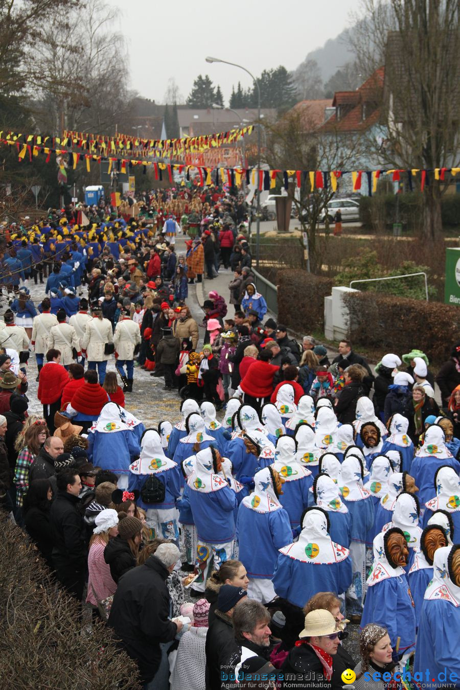 Narrentreffen: Rielasingen am Bodensee, 29.01.2012