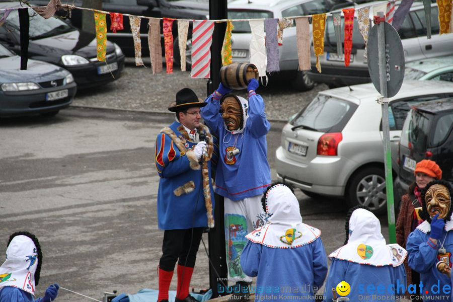 Narrentreffen: Rielasingen am Bodensee, 29.01.2012