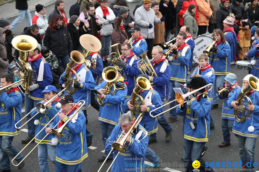 Narrentreffen: Rielasingen am Bodensee, 29.01.2012