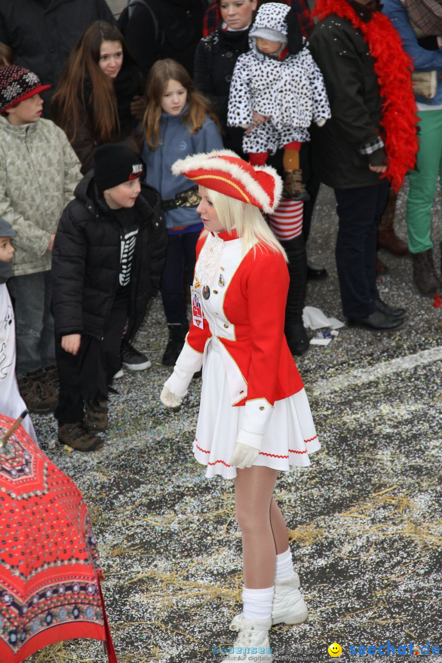 Narrentreffen: Rielasingen am Bodensee, 29.01.2012