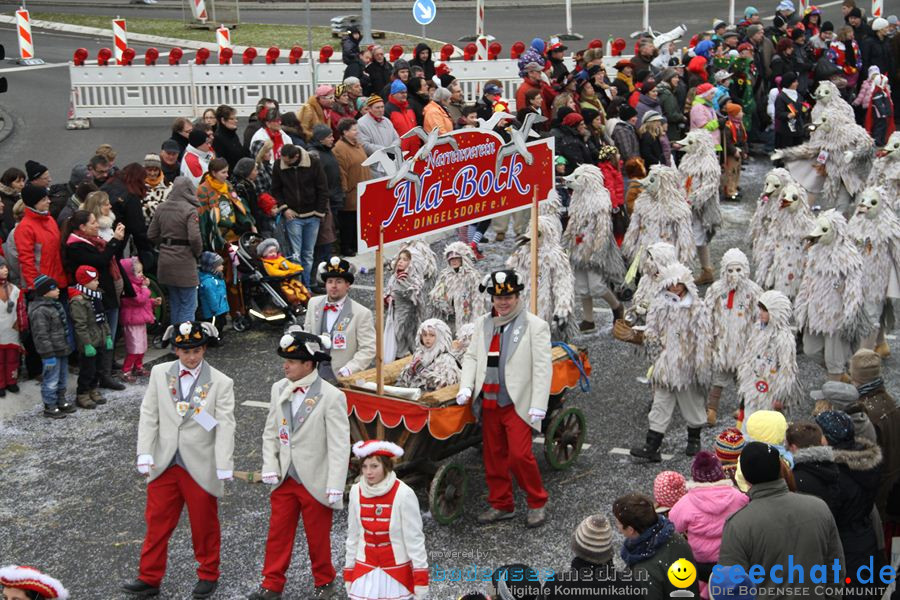 Narrentreffen: Rielasingen am Bodensee, 29.01.2012