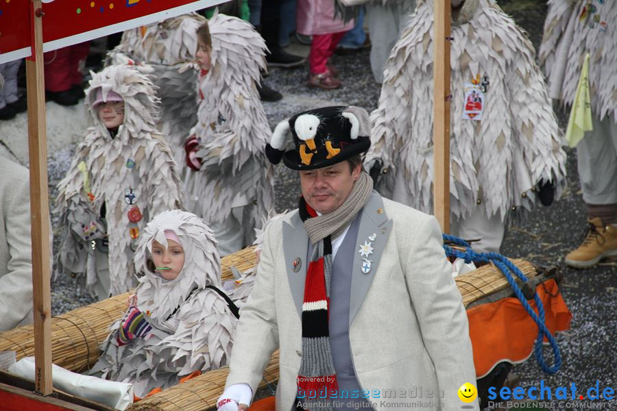 Narrentreffen: Rielasingen am Bodensee, 29.01.2012