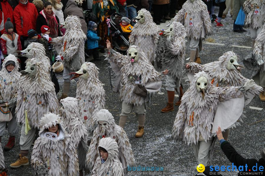 Narrentreffen: Rielasingen am Bodensee, 29.01.2012