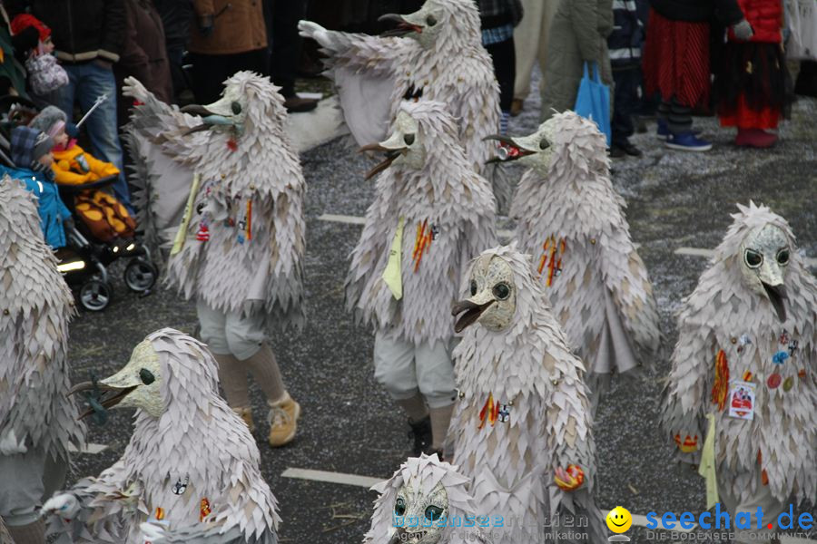 Narrentreffen: Rielasingen am Bodensee, 29.01.2012