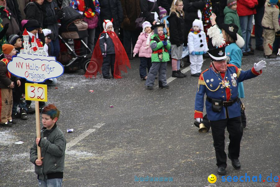 Narrentreffen: Rielasingen am Bodensee, 29.01.2012