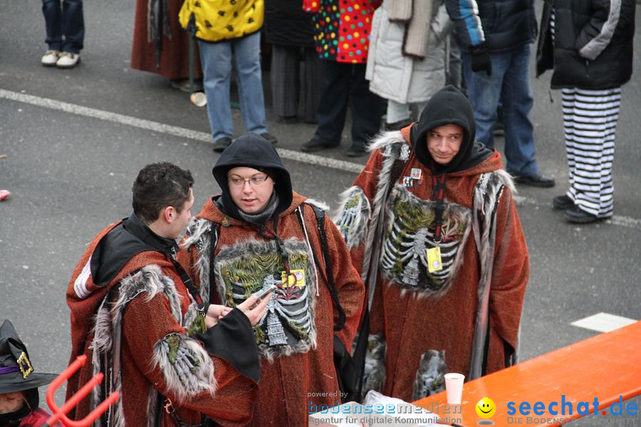 Narrentreffen: Rielasingen am Bodensee, 29.01.2012