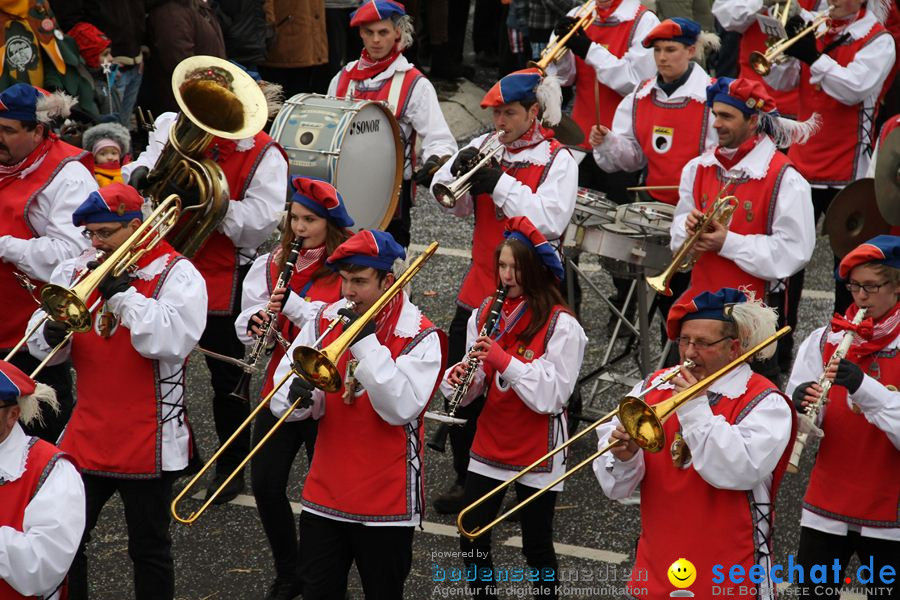 Narrentreffen: Rielasingen am Bodensee, 29.01.2012