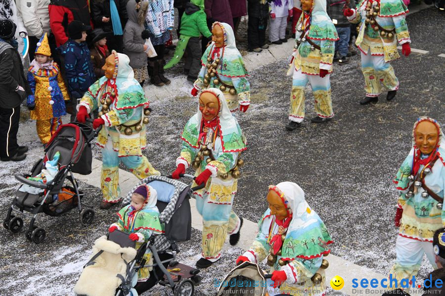 Narrentreffen: Rielasingen am Bodensee, 29.01.2012