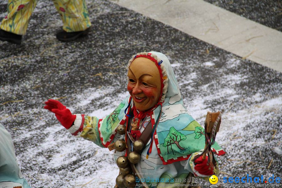 Narrentreffen: Rielasingen am Bodensee, 29.01.2012