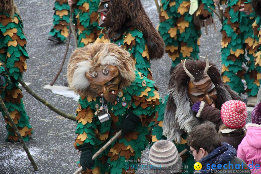 Narrentreffen: Rielasingen am Bodensee, 29.01.2012