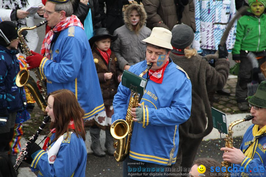 Narrentreffen: Rielasingen am Bodensee, 29.01.2012