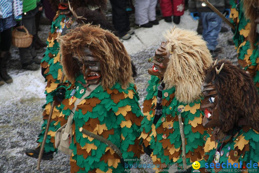 Narrentreffen: Rielasingen am Bodensee, 29.01.2012