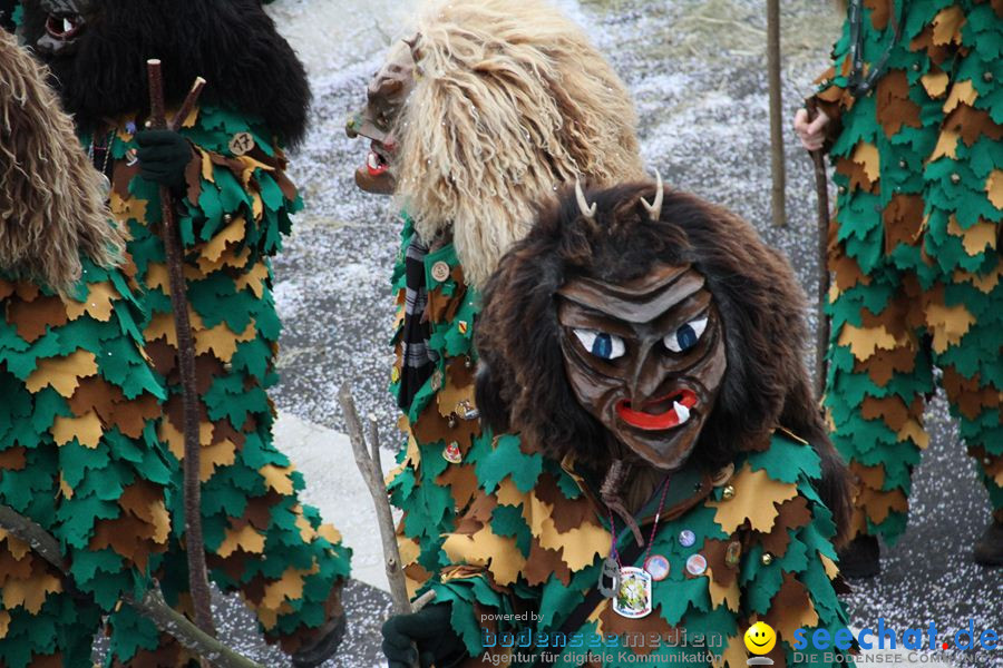 Narrentreffen: Rielasingen am Bodensee, 29.01.2012