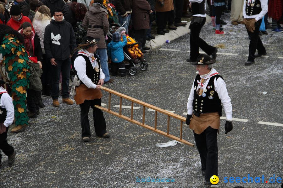 Narrentreffen: Rielasingen am Bodensee, 29.01.2012