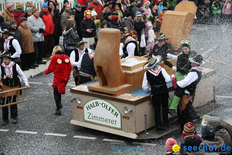 Narrentreffen: Rielasingen am Bodensee, 29.01.2012