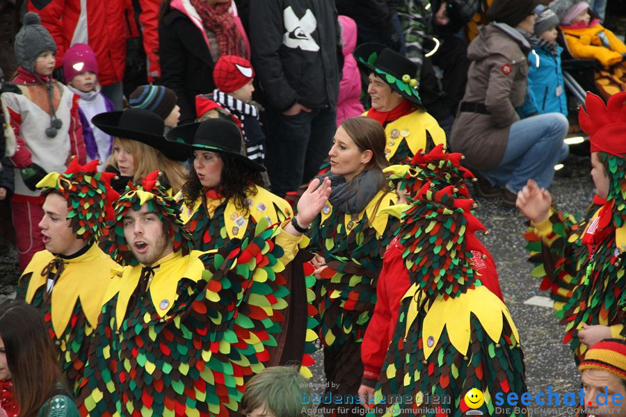 Narrentreffen: Rielasingen am Bodensee, 29.01.2012