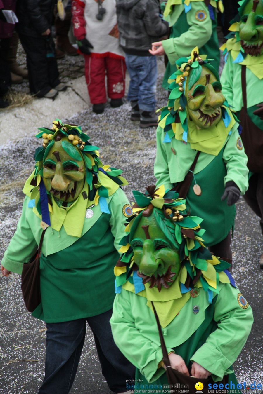 Narrentreffen: Rielasingen am Bodensee, 29.01.2012