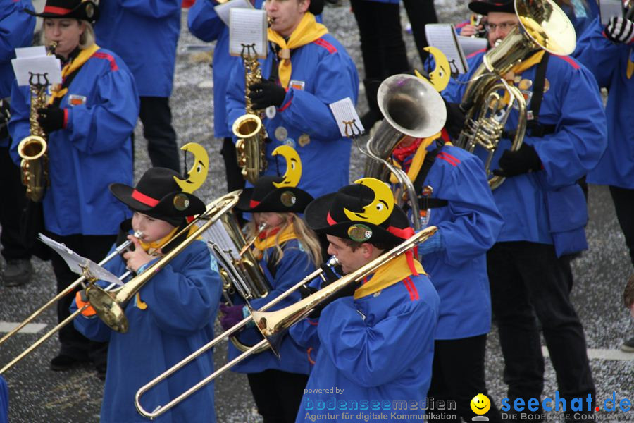 Narrentreffen: Rielasingen am Bodensee, 29.01.2012