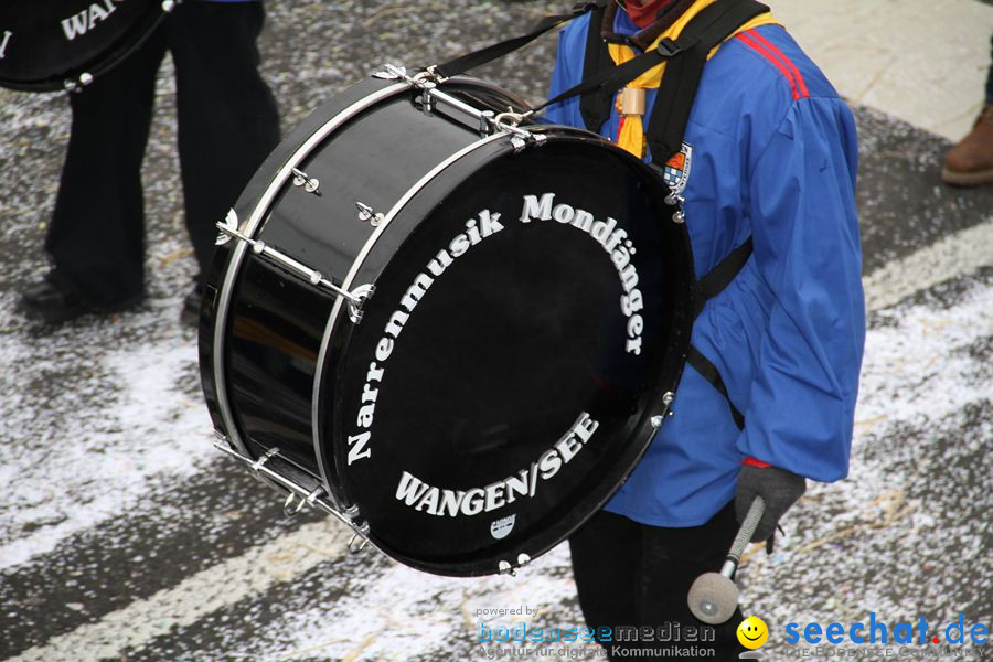 Narrentreffen: Rielasingen am Bodensee, 29.01.2012