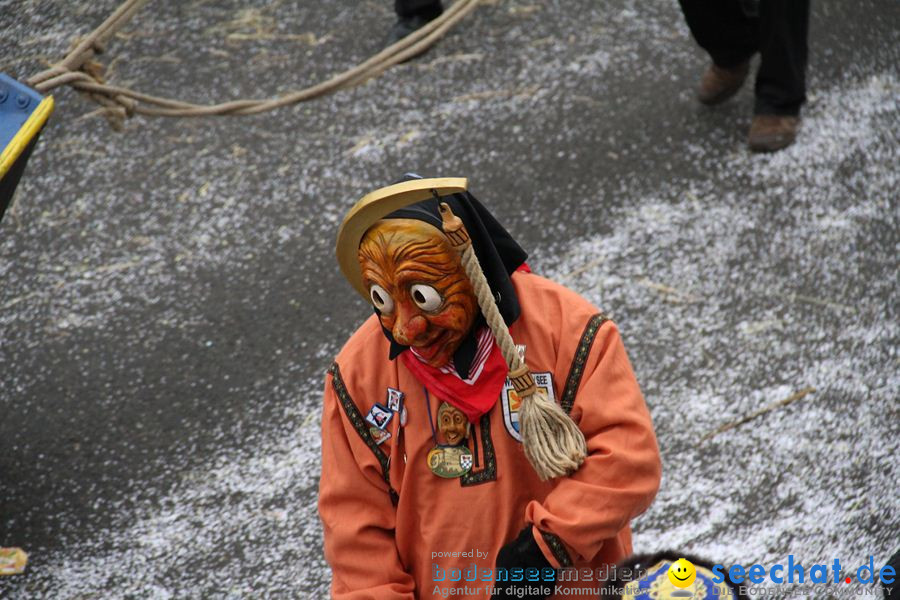 Narrentreffen: Rielasingen am Bodensee, 29.01.2012