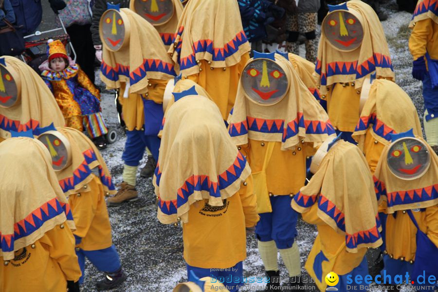 Narrentreffen: Rielasingen am Bodensee, 29.01.2012