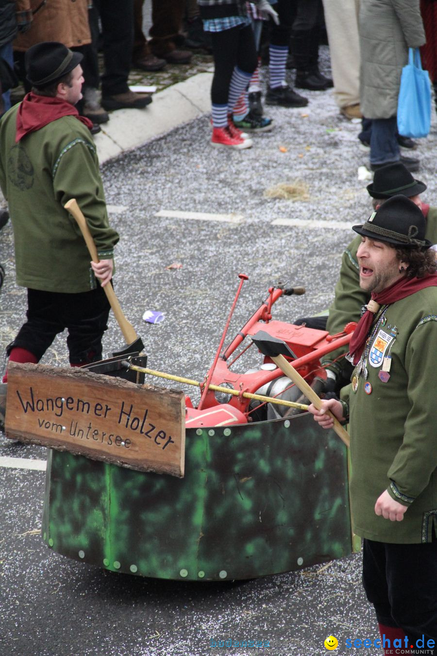 Narrentreffen: Rielasingen am Bodensee, 29.01.2012