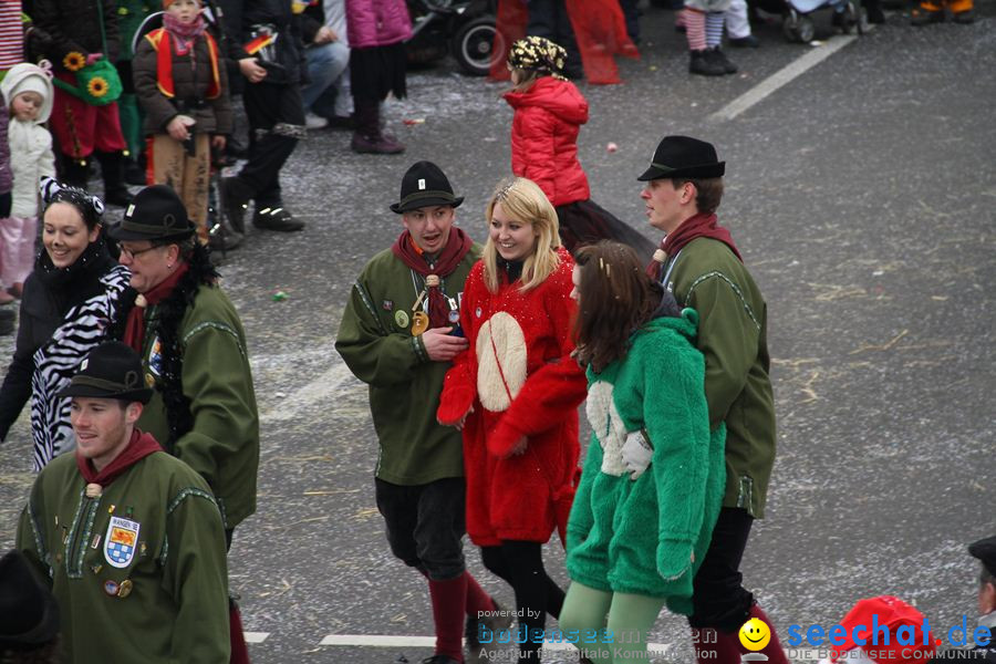 Narrentreffen: Rielasingen am Bodensee, 29.01.2012