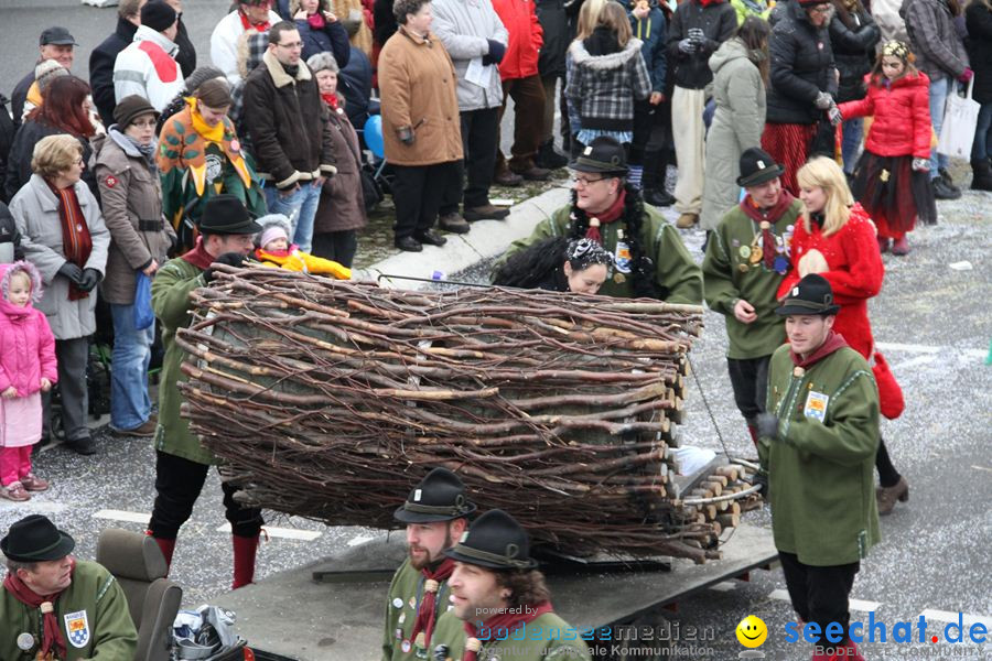 Narrentreffen: Rielasingen am Bodensee, 29.01.2012