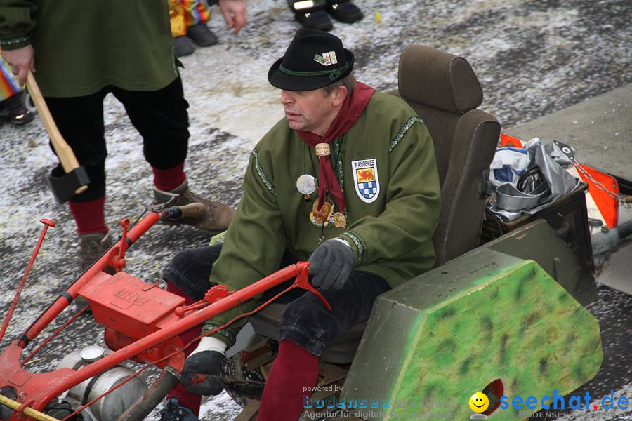 Narrentreffen: Rielasingen am Bodensee, 29.01.2012