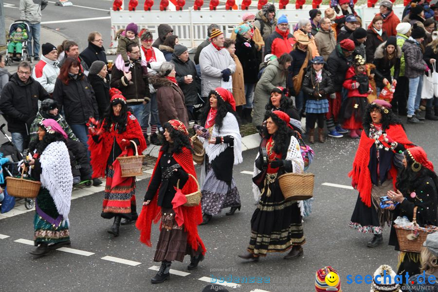 Narrentreffen: Rielasingen am Bodensee, 29.01.2012