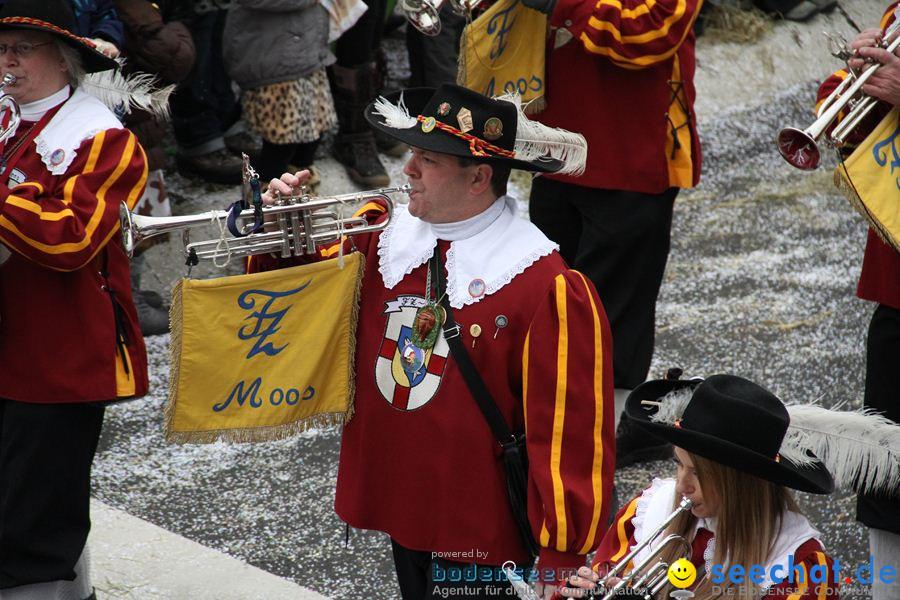 Narrentreffen: Rielasingen am Bodensee, 29.01.2012