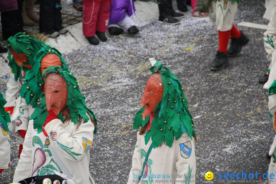 Narrentreffen: Rielasingen am Bodensee, 29.01.2012