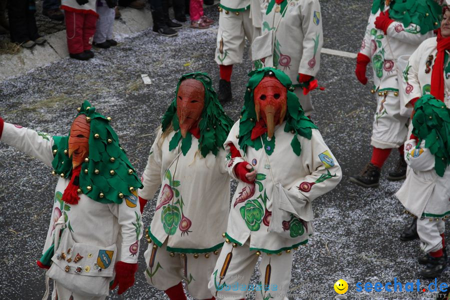 Narrentreffen: Rielasingen am Bodensee, 29.01.2012