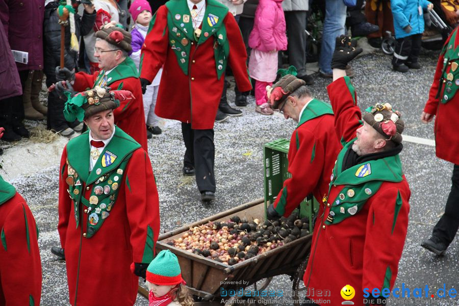 Narrentreffen: Rielasingen am Bodensee, 29.01.2012