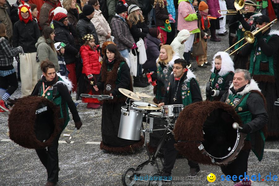 Narrentreffen: Rielasingen am Bodensee, 29.01.2012