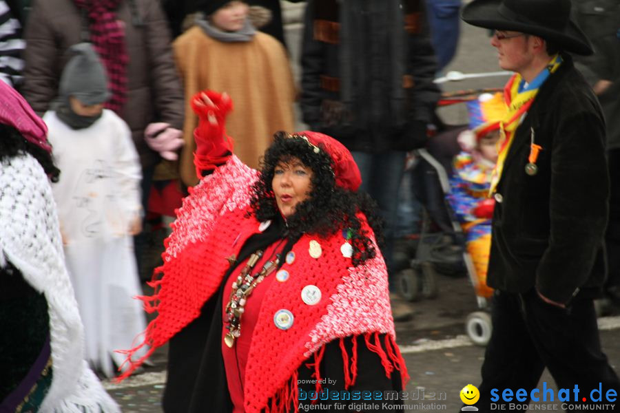 Narrentreffen: Rielasingen am Bodensee, 29.01.2012