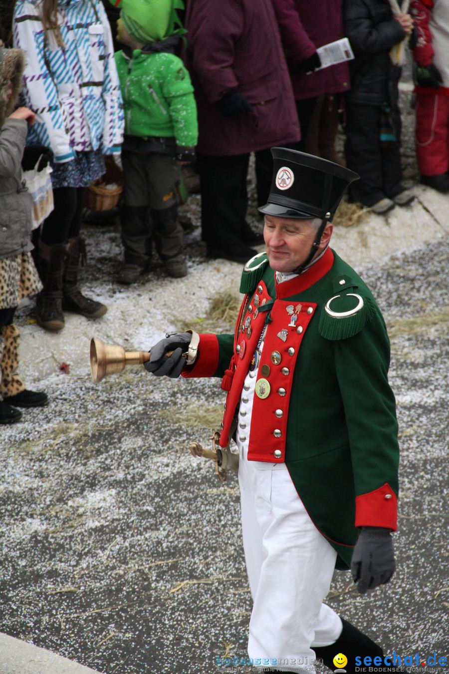 Narrentreffen: Rielasingen am Bodensee, 29.01.2012