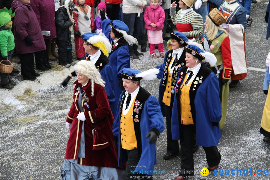 Narrentreffen: Rielasingen am Bodensee, 29.01.2012