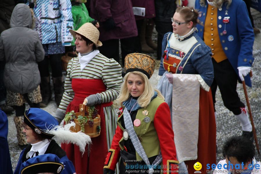 Narrentreffen: Rielasingen am Bodensee, 29.01.2012